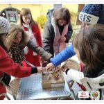 stop-soil-to-plate-aefs-13