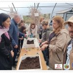 stop-soil-to-plate-aefs-15