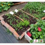 stop-soil-to-plate-aefs-17