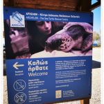 stop-soil-to-plate-aefs-23